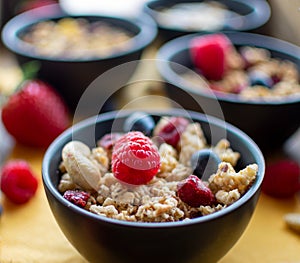 delicious muesli with fresh and dried berries.