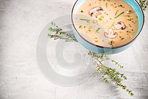 Delicious mushroom cream soup with champignons on the gray table
