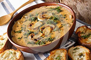 Delicious mushroom soup with dill and toast close-up. horizontal