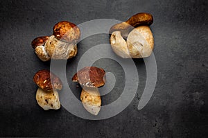 Delicious mushrooms on a grey background