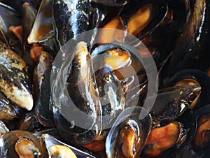 Delicious mussels in sauce taste smell taste crustaceans shell