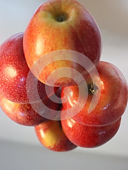 delicious natural red apples tasty beautiful temptation fruit vitamins