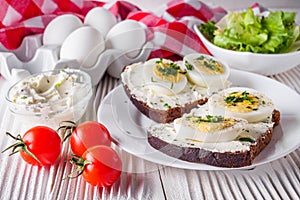 Delicious and nutritious cheese and boiled egg sandwich