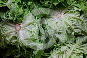Delicious and nutritive lettuces in a food market