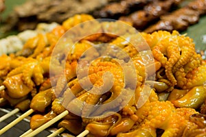 Delicious octopus on a local street food market chatuchak market in Thailand in Asia