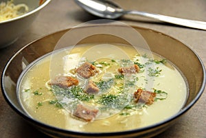 Delicious onion soup in a plate on the table