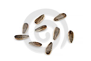 Delicious organic sunflower black seeds, isolated on white background