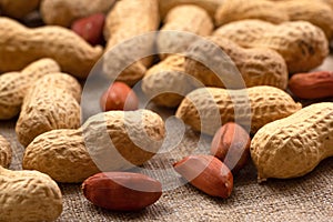 Delicious peanuts in shell close-up. Peanut background