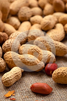 Delicious peanuts in shell close-up. Peanut food