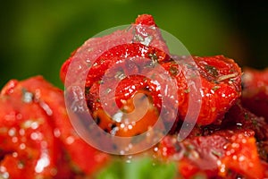 Delicious pepper salad with onions peppers and tomatoes