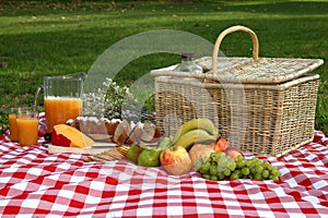 Delicious Picnic Spread