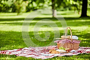 Delicious picnic spread with fresh food