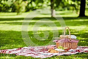 Delicious picnic spread with fresh food photo