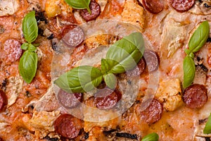 Delicious pizza with sausage, cheese, tomatoes, salt, spices and herbs