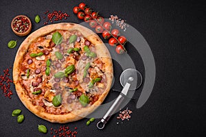 Delicious pizza with sausage, cheese, tomatoes, salt, spices and herbs