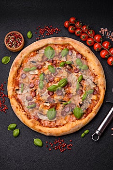 Delicious pizza with sausage, cheese, tomatoes, salt, spices and herbs