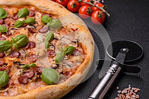 Delicious pizza with sausage, cheese, tomatoes, salt, spices and herbs