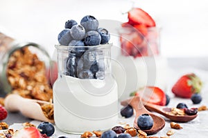 Delicious plain yogurt with fresh blueberry and strawberry in a