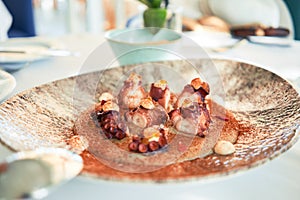 Delicious plate with grilled octopus with sauce