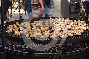 Delicious potato and mushrooms roasting on open grill, outdoor k