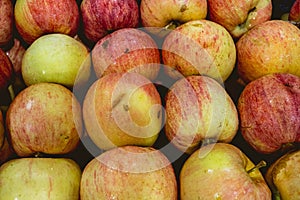 delicious red apples freshly harvested