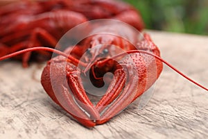 Delicious red boiled crayfish on wooden table, closeup