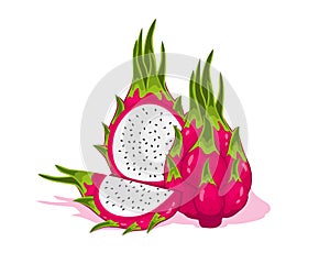Delicious red dragon fruit vector design. Summer tropical fruits for healthy lifestyle