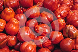Delicious red organic tomatoes on sale at the local farmers market, selective focus. Fresh juicy bio tomatoes at the
