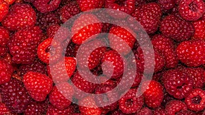 Raspberries viewed from above