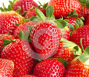 Delicious red strawberry over strawberry bok photo