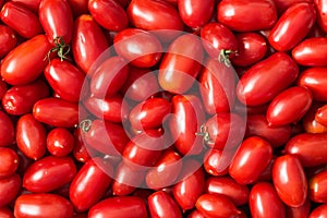 Delicious red tomatoes. can be used as background