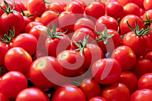 Delicious red tomatoes. Summer tray market agriculture farm full of organic vegetables, selective focus, red tomatoes background