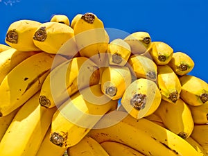 Vynikajúca zrelý banány 