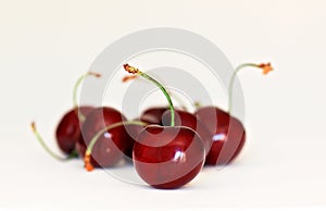 Delicious ripe cherries