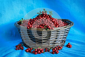 Delicious ripe cranberries in a wooden basket stands on table