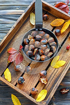 Delicious roasted chestnuts in a cast iron skillet.