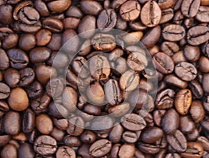 delicious roasted natural coffee beans with careful aroma flavor photo