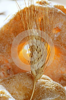 Delicious roll bakery sugar and wheat spikes