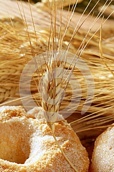 Delicious roll bakery sugar and wheat spikes