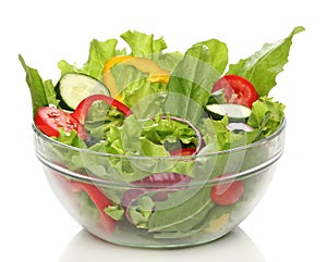 Delicious salad on a bowl isolated