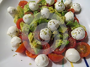 Delicious salad lettuce canons cheese fresh aromatic tomato photo