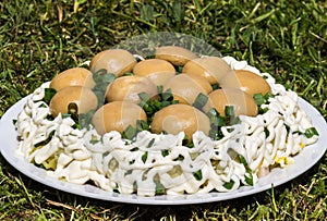 Delicious salad Mushroom glade (salad with champignon and green onion)