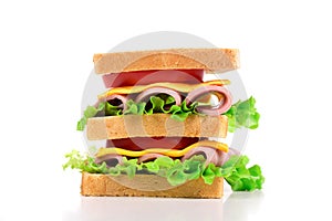 Delicious Sandwich