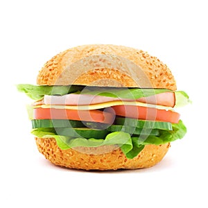 Delicious sandwich