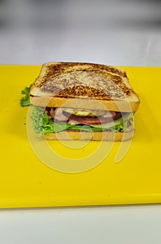 Delicious Sandwich Delights Recipe With Tempting Flavorv Layers