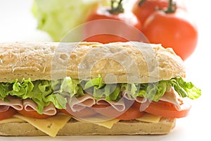 Delicious sandwich of ham cheese lettuce tomato