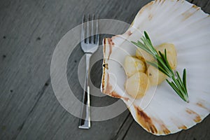 Delicious sea scallop