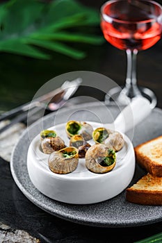 Delicious sea snails with herbs on plate over marble background with drinks. Gourmet food. Escargot Snails, top view