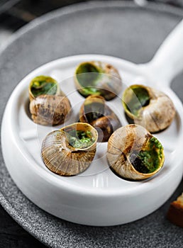 Delicious sea snails with herbs on plate over marble background. Gourmet food. Escargot Snails, top view, close up