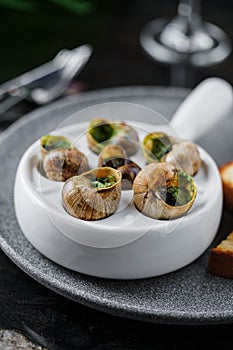 Delicious sea snails with herbs on plate over marble background. Gourmet food. Escargot Snails, top view, close up